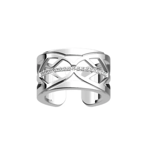 Bague Femme Faucon Les Georgettes Les Précieuses Argenté et Oxydes