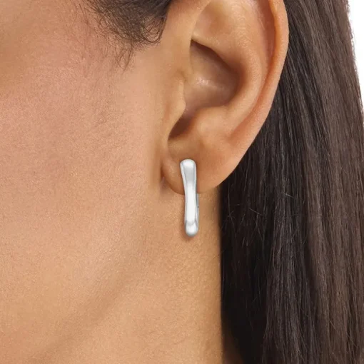 Bouces d'oreilles Femme Pendantes Calvin Klein SCULPTURAL Acier Argenté 35000749