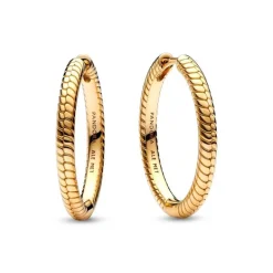 Boucles d'Oreilles Femme Créoles Pandora Moments à Charms 269532C00