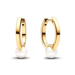 Boucles d'Oreilles Femme CréolesPandora Timeless Perle de Culture d'Eau Douce Traitée 263170C01