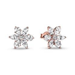Boucles d'Oreilles Femme Puces Pandora Timeless Herbier Scintillant 282407C01