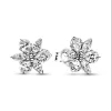 Boucles d'Oreilles Femme Puces Pandora ARGENT 925/1000 Herbier Scintillant 292633C01