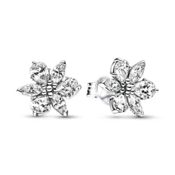 Boucles d'Oreilles Femme Puces Pandora ARGENT 925/1000 Herbier Scintillant 292633C01