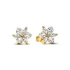 Boucles d’Oreilles Femme Pandora Timeless Herbier Scintillant 262633C01