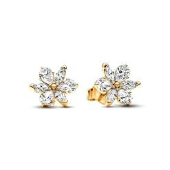 Boucles d’Oreilles Femme Pandora Timeless Herbier Scintillant 262633C01