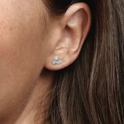 Boucles d'Oreilles Femme Puces Pandora Timeless Herbier Scintillant 292406C01