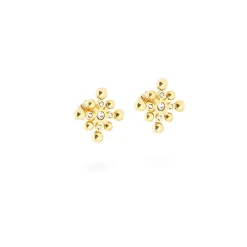 Boucles d'oreilles Femme ZAG CLARA Acier doré