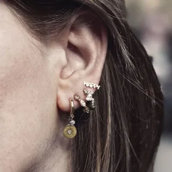 Boucles d'oreilles Femme ZAG ARIEL Acier doré