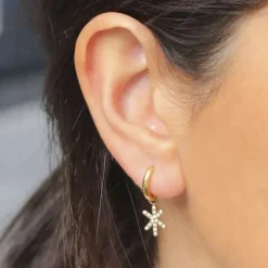 Boucles d'oreilles Femme ZAG OCTOBREROSE Acier doré