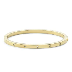 bracelet femme fossil Sutton Shine Bright acier doré et oxydes