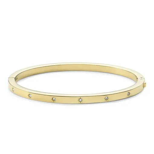 bracelet femme fossil Sutton Shine Bright acier doré et oxydes
