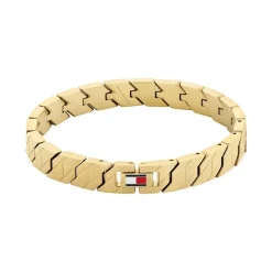 Bracelet Homme TOMMY HILFIGER LARS Acier Doré 2790620