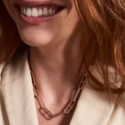 Collier Chaîne Femme FOSSIL HERITAGE D-LINK Acier Doré Rose