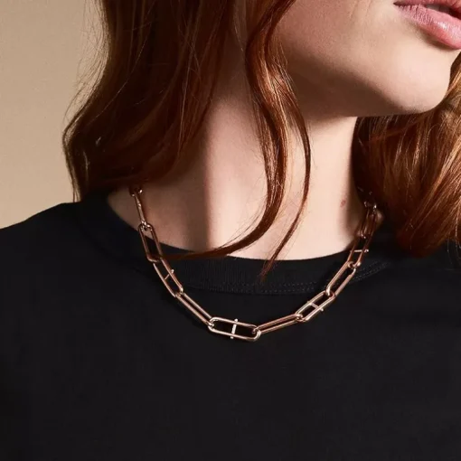 Collier Chaîne Femme FOSSIL HERITAGE D-LINK Acier Doré Rose