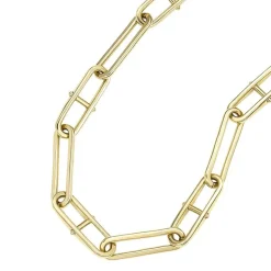 Collier Femme Chaine FOSSIL Heritage D-Link Acier Doré JF04102710