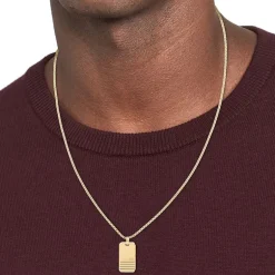 Collier Plaque Homme TOMMY HILFIGER ICONIC STRIPES Acier Doré