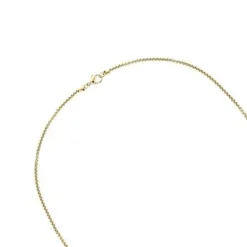 Collier Plaque Homme TOMMY HILFIGER Acier Doré