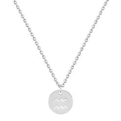 Collier Zodiaque Verseau EDORA Acier Argenté 432190