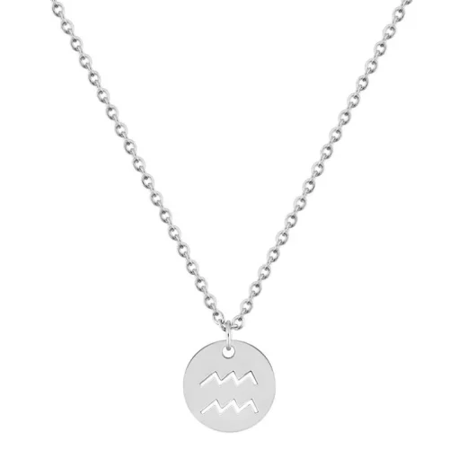 Collier Zodiaque Verseau EDORA Acier Argenté 432190
