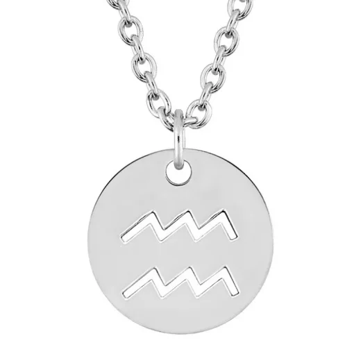 Collier Zodiaque Verseau EDORA Acier Argenté 432190