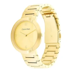 Montre Femme CALVIN KLEIN TIMELESS Acier Doré 25200290