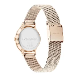 montre femme CALVIN KLEIN TIMELESS 2H acier doré rose 25200059