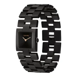 Montre Femme Calvin Klein Meridian Acier Noir 25100091