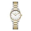 Montre Femme CLUSE FEROCE MINI Acier Bicolore