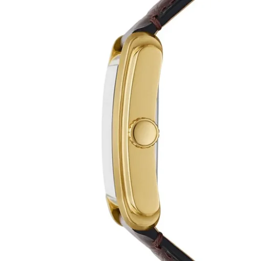 Montre Homme FOSSIL CARRAWAY ARGENT Cuir Brun