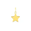 Pendentif Étoile EDORA OR 375/1000